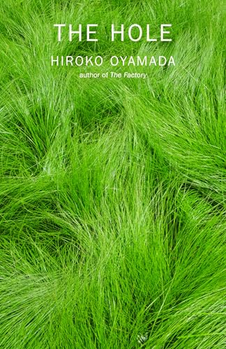 Cover of The Hole by Hiroko Oyamada