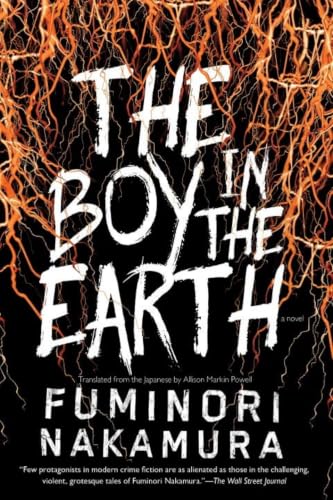 Cover of The Boy in the Earth by Fuminori Nakamura