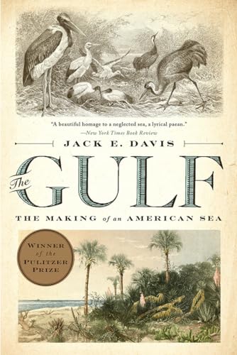 Cover of The Gulf: The Making of an American Sea by Jack E. Davis