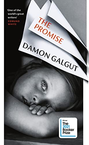 Cover of The Promise by Damon Galgut