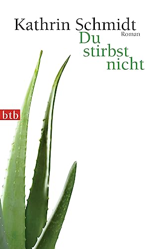 Cover of Du stirbst nicht by Kathrin Schmidt